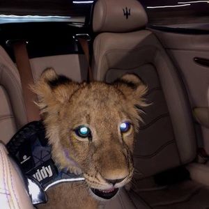 Meet your Posher, John